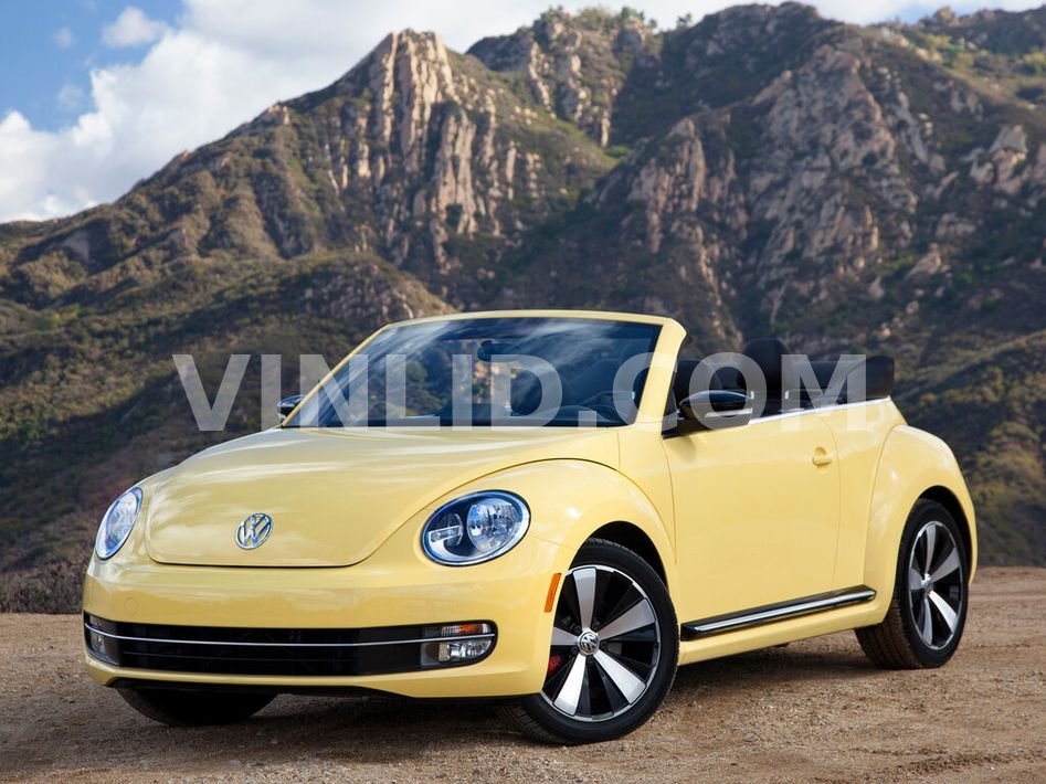 Volkswagen Beetle (A5)